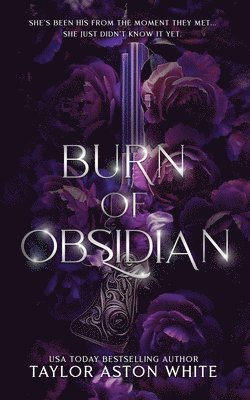 bokomslag Burn of Obsidian - Special Edition