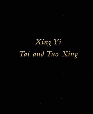 bokomslag Xing Yi Tai and Tuo Xing: A Study of Flycatcher and Crocodile