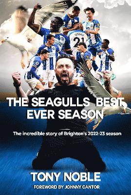 bokomslag The Seagulls Best Ever Season