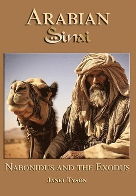 Arabian Sinai 1