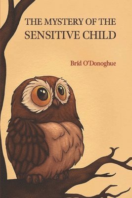 Brid O'Donoghue - Mystery of the Sensitive Child, Häftad