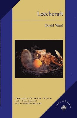 David Ward - Leechcraft, Häftad