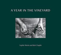 bokomslag A Year in the Vineyard