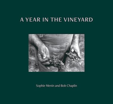 bokomslag Year in the Vineyard