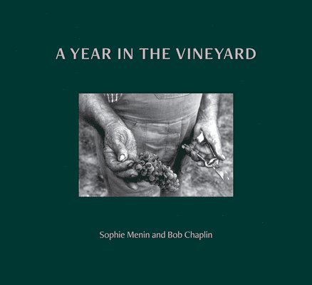 A Year in the Vineyard 1