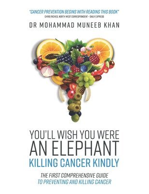 Mohammad Muneeb Khan - You'll Wish You Were an Elephant, Häftad
