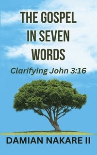 bokomslag The Gospel in Seven Words