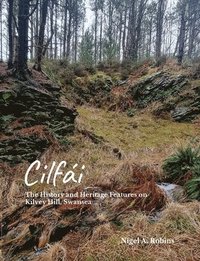 bokomslag Cilfi: The History and Heritage Features on Kilvey Hill, Swansea
