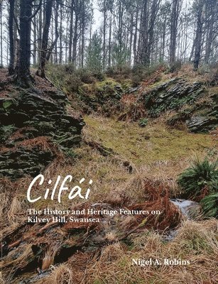 Cilfái: The History and Heritage Features on Kilvey Hill, Swansea