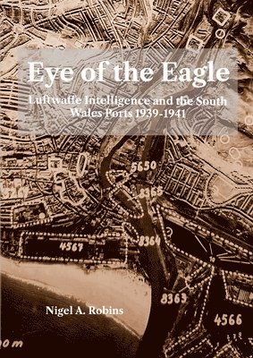 Eye of tthe Eagle 1