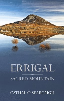 bokomslag Errigal: Sacred Mountain