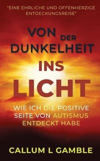 bokomslag Von der Dunkelheit ins Licht