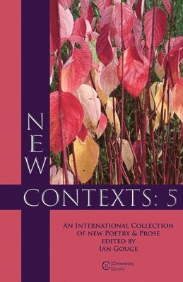 Ian Gouge - New Contexts: 5, Häftad