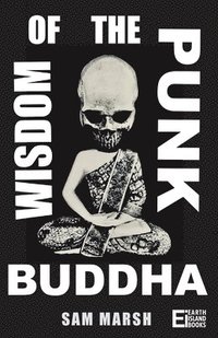 bokomslag Wisdom of the Punk Buddha