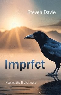 bokomslag Imprfct