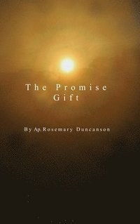 bokomslag The Promise Gift