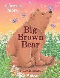 bokomslag Big Brown Bear