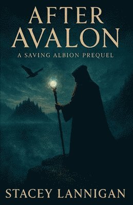 bokomslag After Avalon