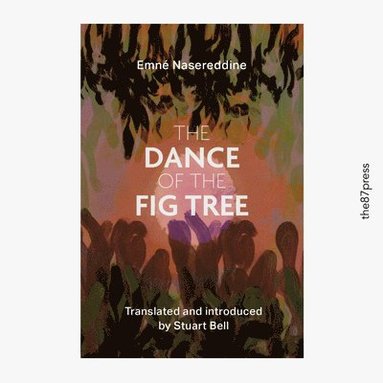 bokomslag Dance of the Fig Tree