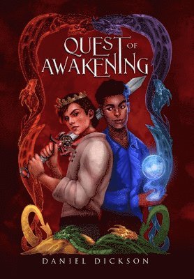 bokomslag Quest of Awakening