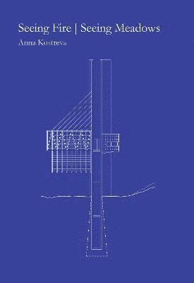 Anna Kostreva - Seeing Fire | Seeing Meadows, Häftad
