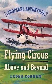 bokomslag Flying Circus Above and Beyond