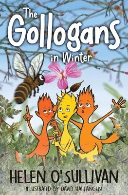 Helen O'Sullivan, David Hallangen - Gollogans in Winter, Häftad