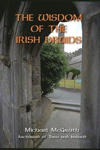 bokomslag The Wisdom of the Irish Druids