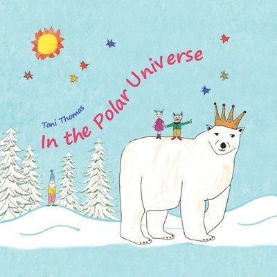 In the Polar Universe 1