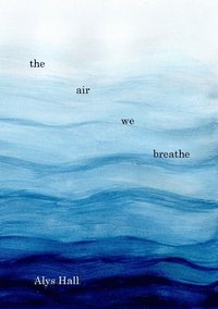 bokomslag The Air We Breathe