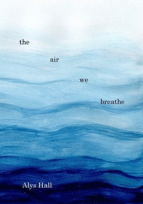 Alys Hall - Air We Breathe, Häftad