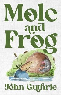 bokomslag Mole and Frog