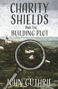 bokomslag Charity Shields and the Building Plot