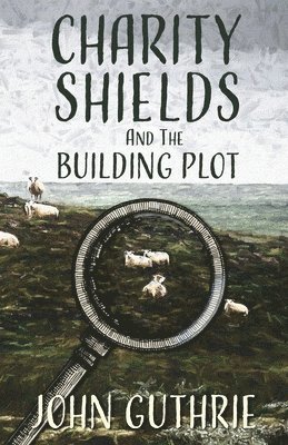bokomslag Charity Shields and the Building Plot