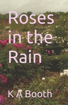 Roses in the Rain 1