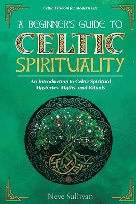 bokomslag A Beginner's Guide to Celtic Spirituality