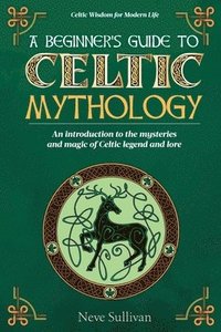 bokomslag A Beginner's Guide to Celtic Mythology