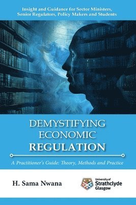 bokomslag Demystifying Economic Regulation