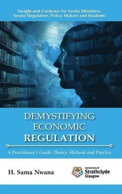 bokomslag Demystifying Economic Regulation