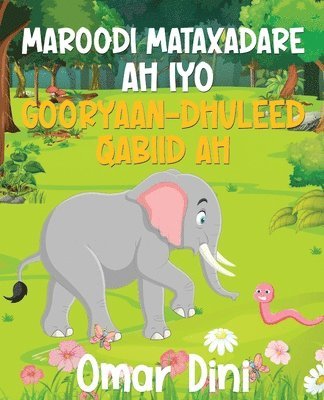 Maroodi Mataxadare ah iyo Gooryaan_Dhuleed Qabiid ah 1