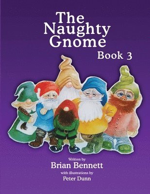 bokomslag Naughty Gnome Book 3
