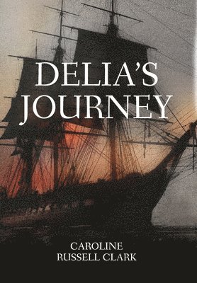 bokomslag Delia's Journey