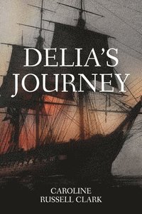 bokomslag Delia's Journey