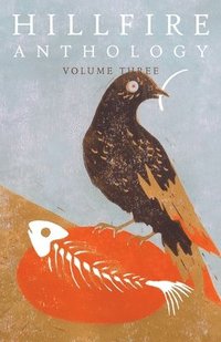 bokomslag Hillfire Anthology Volume 3