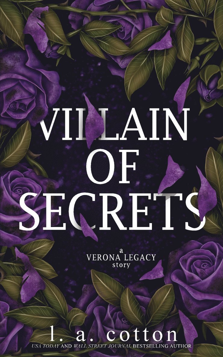 Villain of Secrets 1