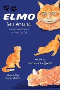 bokomslag Elmo Gets Arrested!
