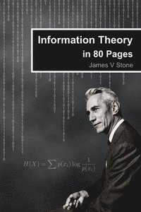 bokomslag Information Theory in 80 Pages