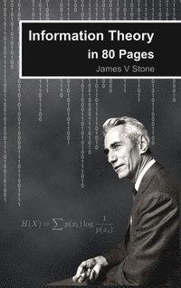 bokomslag Information Theory in 80 Pages