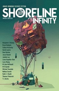 bokomslag Shoreline of Infinity 33