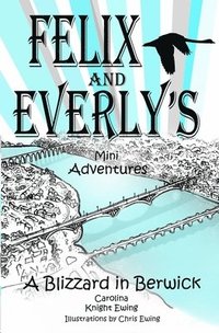 bokomslag Felix and Everly's Mini Adventures